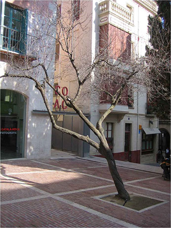 Accesibilidad en los espacios verdes