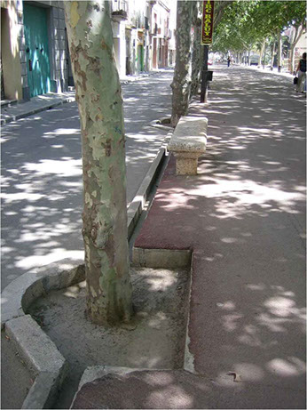 Itinerario de peatones: Accesible. Correctamente pavimentado. Falta protección en los alcorques. 
