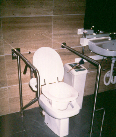 Servicios Higiénicos. Mal adaptado. Bidet con alza. Barra abatible horizontal no apta para usuarios de silla de ruedas. 