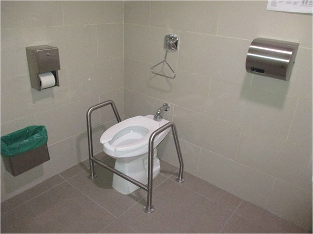 Servicios Higiénicos. No accesible. Mala situación de las barras y el pulsador. Incompatibilidad de transferencia lateral. 